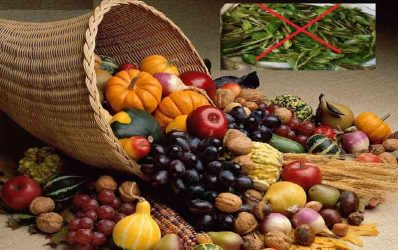 فضل زراعة الطيبات وقلع القات